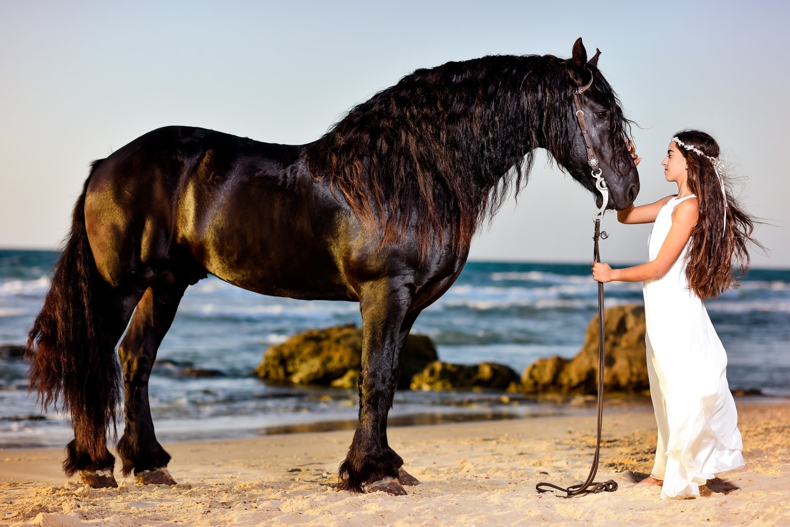 בוק בת מצווה עם סוס בים